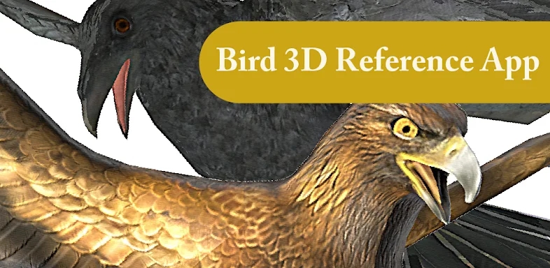 Bird 3D Reference screenshots