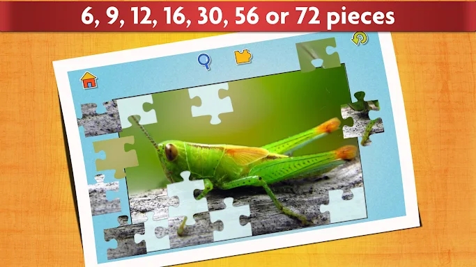 Insect Jigsaw Puzzle Game Kids screenshots