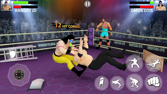 Tag Team Wrestling Game screenshots