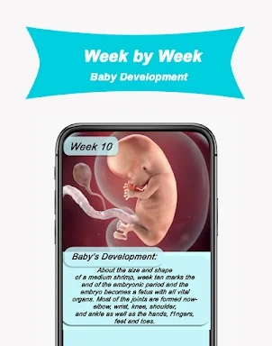 My Week By Week Pregnancy App screenshots