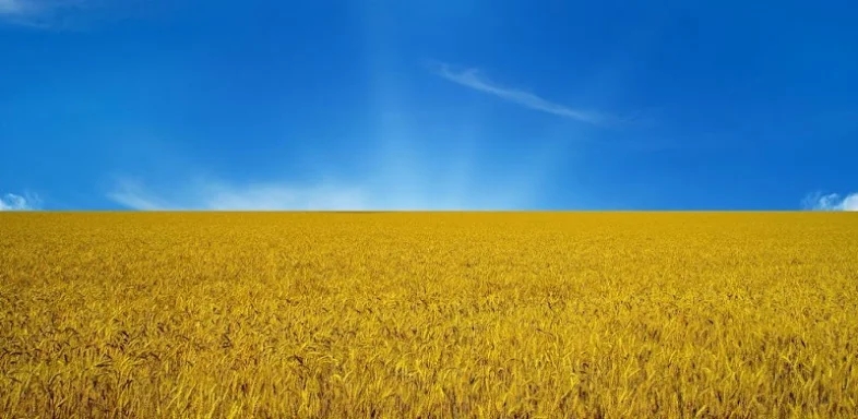 Flag of Ukraine screenshots