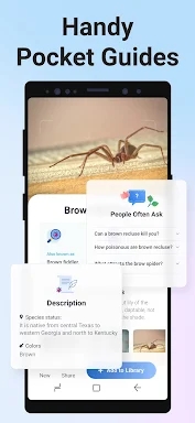 Picture Insect: Bug Identifier screenshots