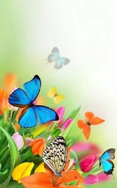 Butterfly Live Wallpaper screenshots