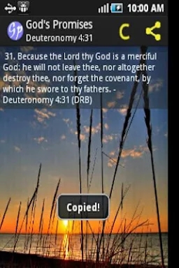 God's Promises in the Bible screenshots