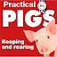 Practical Pigs icon