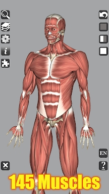 3D Bones and Organs (Anatomy) screenshots