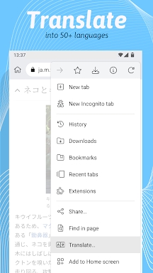 Kiwi Browser - Fast & Quiet screenshots