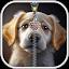 Puppy Dog Zipper Lock Screen icon
