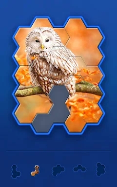 Hexa Jigsaw Challenge screenshots