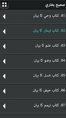 Sahih Al Bukhari Urdu eBook screenshots