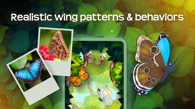 Flutter: Butterfly Sanctuary screenshots