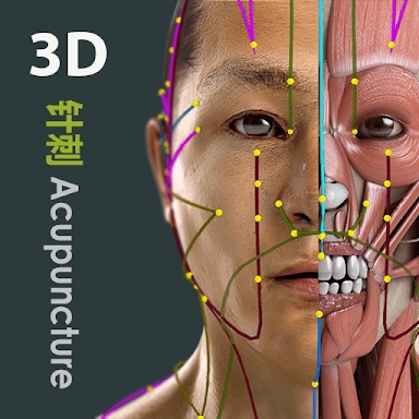 Visual Acupuncture 3D screenshots