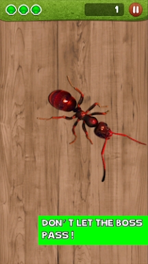 Ant Smasher screenshots