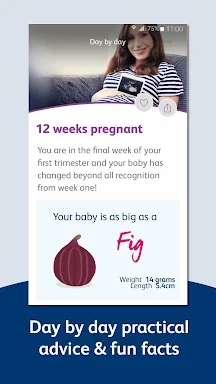 Bounty - Pregnancy & Baby App screenshots