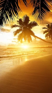 Beach Sunset Live Wallpaper screenshots