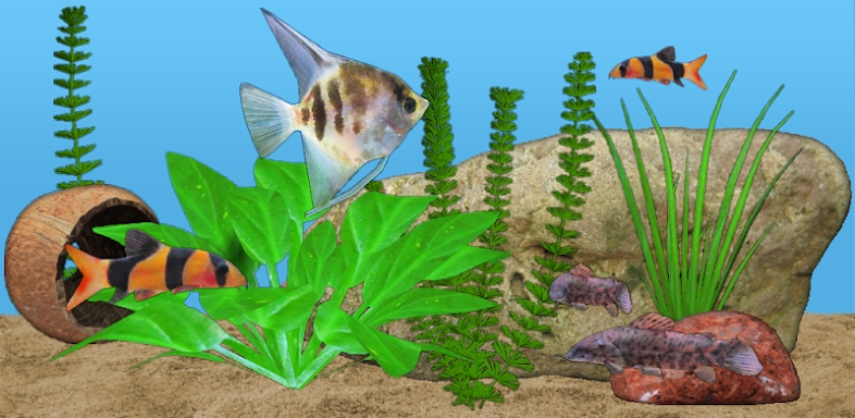 Aquarium Fish screenshots