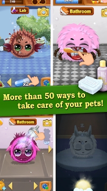 Kuri Pets screenshots