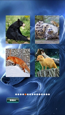 Animals Jigsaw Puzzle screenshots