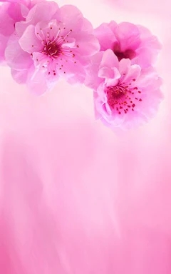 Pink Flowers Live Wallpaper screenshots