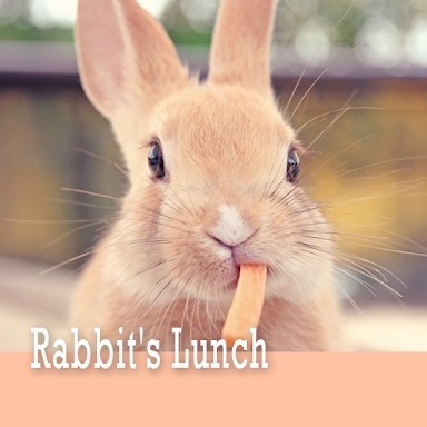 Cute Theme-Rabbit's Lunch- screenshots