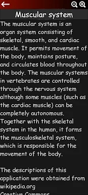 Muscular System 3D (anatomy) screenshots
