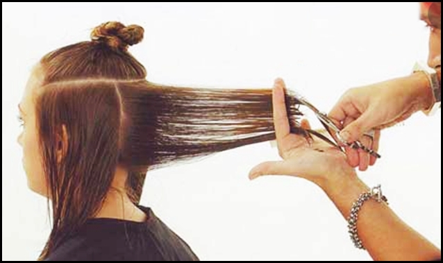 Learn how to cut hair screenshots