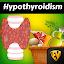 Hypothyroidism Diet Recipes icon