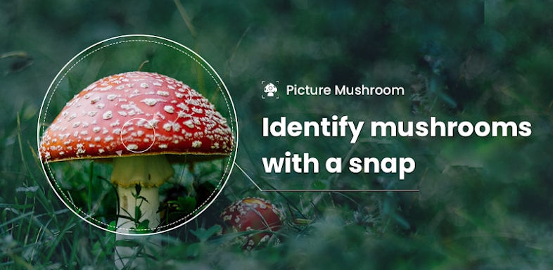 Picture Mushroom - Mushroom ID screenshots