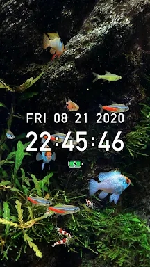 Tropical Aquarium - Mini Aqua screenshots