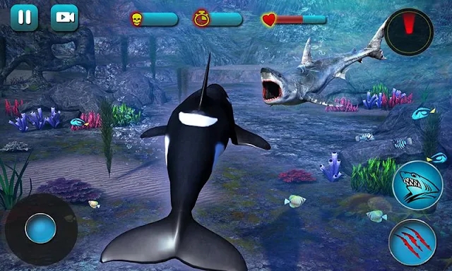 Killer Whale Beach Attack 3D screenshots