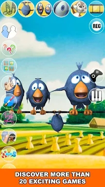 Talking Birds On A Wire screenshots