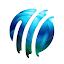 ICC Cricket icon