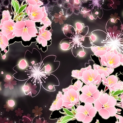 Cheery Blossom Mystic Theme