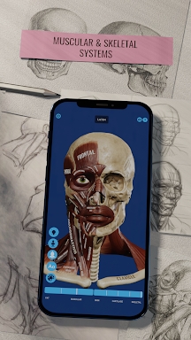 Ecorche: Portrait Anatomy screenshots
