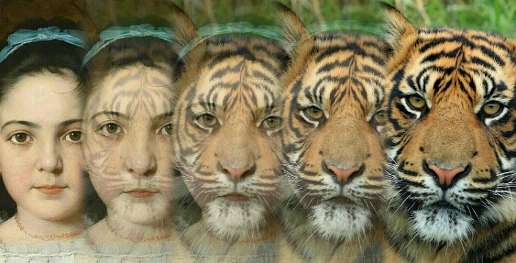 Zooface - GIF Animal Morph screenshots