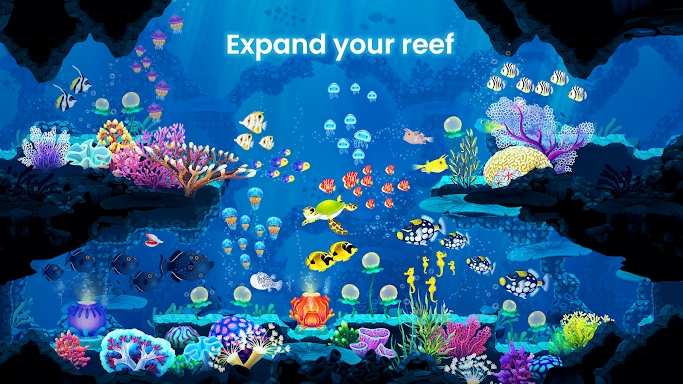 Splash: Fish Sanctuary screenshots