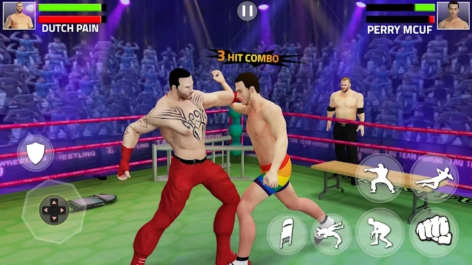 Tag Team Wrestling Game screenshots