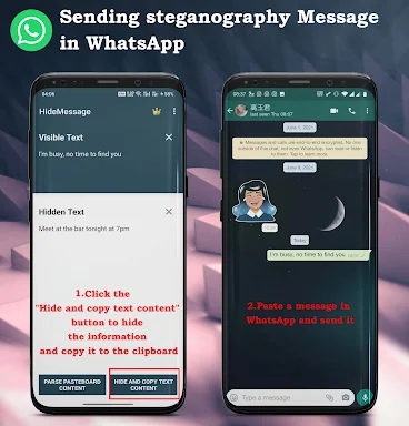Hide Message : Secret text screenshots