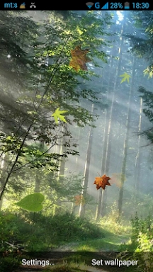Forest Live Wallpaper screenshots