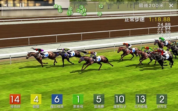 Race Simulator screenshots