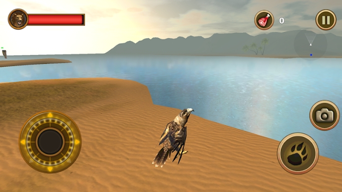 Sea Eagle Survival Simulator screenshots