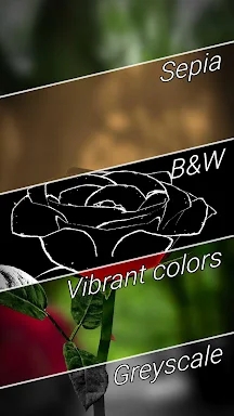 3D Rose Live Wallpaper Lite screenshots