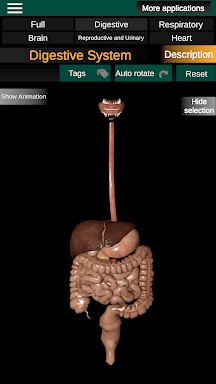 Internal Organs in 3D Anatomy screenshots