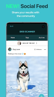 Dog Scanner: Breed Recognition screenshots