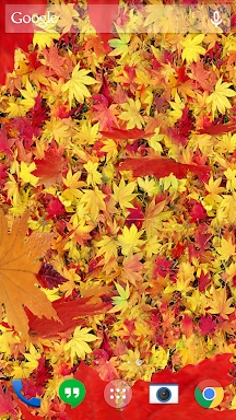 Autumn leaves 3D LWP screenshots