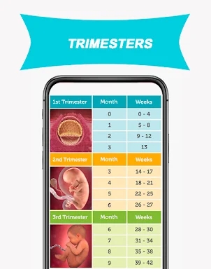 My Week By Week Pregnancy App screenshots