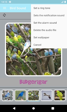 Bird Sounds screenshots