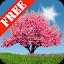 Spring Trees Free icon