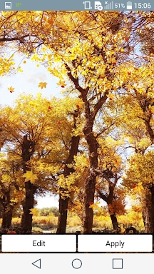Falling Leaves Live Wallpaper screenshots