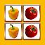 Fun With Fruits Matching Game icon